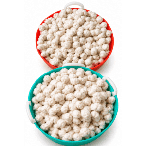 Plain Gejjevastra Pack of 10